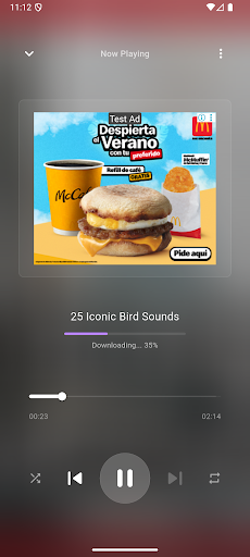 Tuniva MP3 Music Downloader screenshot