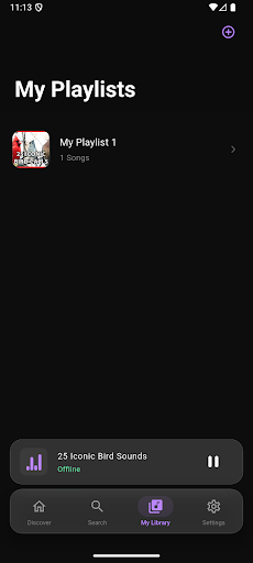 Tuniva MP3 Music Downloader screenshot